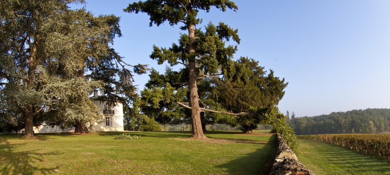Salleboeuf Pey La Tour - Logis Hotels & Restaurant מראה חיצוני תמונה